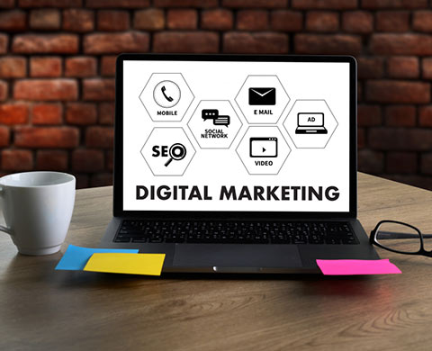 need Digital Marketing for your business